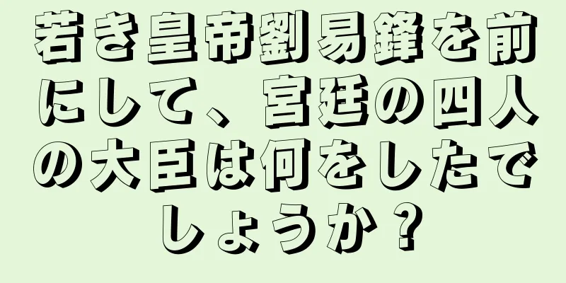 若き皇帝劉易鋒を前にして、宮廷の四人の大臣は何をしたでしょうか？