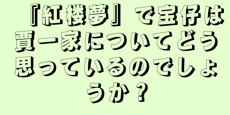 『紅楼夢』で宝仔は賈一家についてどう思っているのでしょうか？