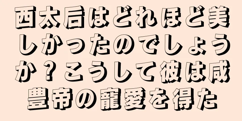 西太后はどれほど美しかったのでしょうか？こうして彼は咸豊帝の寵愛を得た