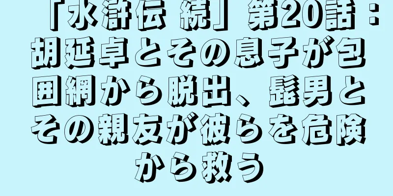 「水滸伝 続」第20話：胡延卓とその息子が包囲網から脱出、髭男とその親友が彼らを危険から救う