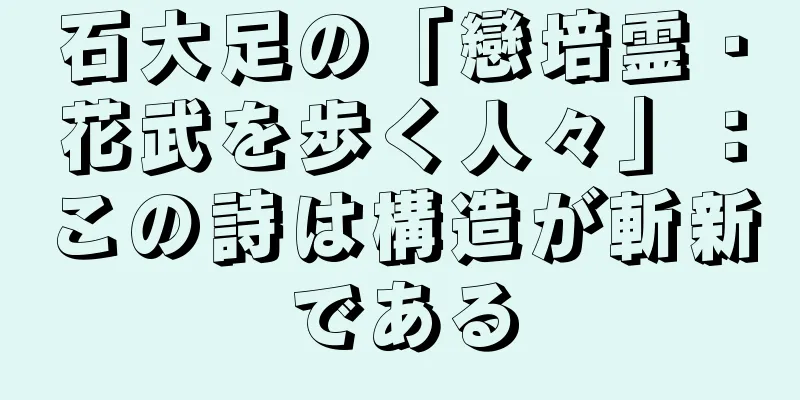 石大足の「戀培霊・花武を歩く人々」：この詩は構造が斬新である