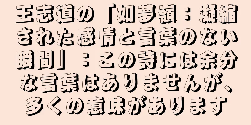王志道の「如夢嶺：凝縮された感情と言葉のない瞬間」：この詩には余分な言葉はありませんが、多くの意味があります