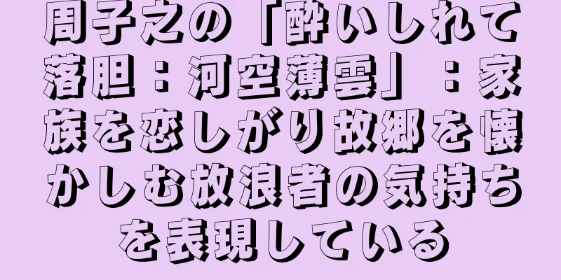 周子之の「酔いしれて落胆：河空薄雲」：家族を恋しがり故郷を懐かしむ放浪者の気持ちを表現している