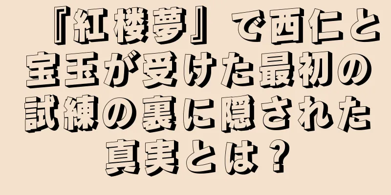 『紅楼夢』で西仁と宝玉が受けた最初の試練の裏に隠された真実とは？