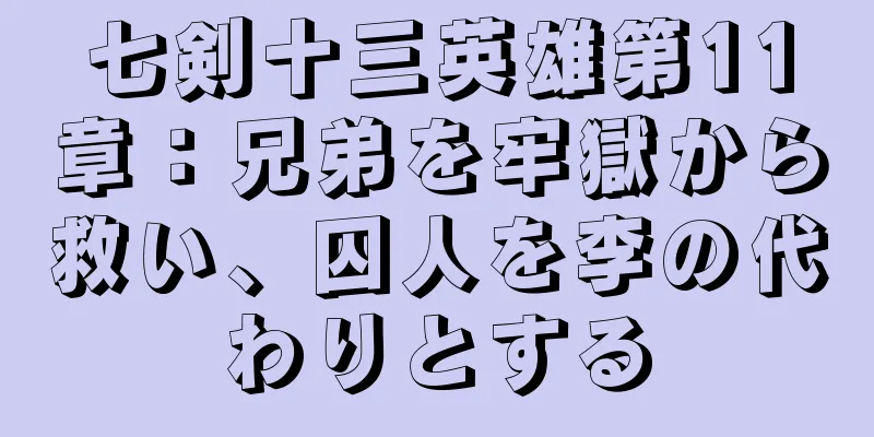 七剣十三英雄第11章：兄弟を牢獄から救い、囚人を李の代わりとする