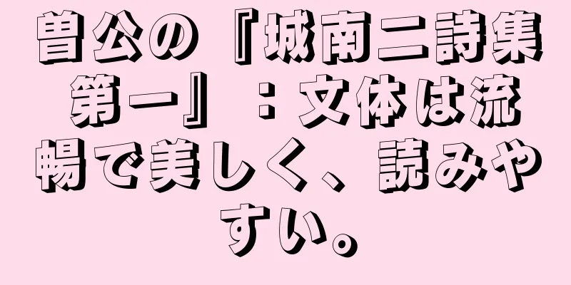 曽公の『城南二詩集 第一』：文体は流暢で美しく、読みやすい。