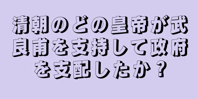 清朝のどの皇帝が武良甫を支持して政府を支配したか？