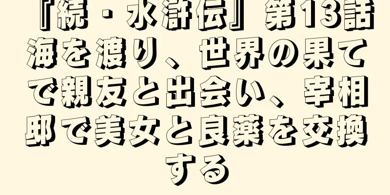 『続・水滸伝』第13話 海を渡り、世界の果てで親友と出会い、宰相邸で美女と良薬を交換する