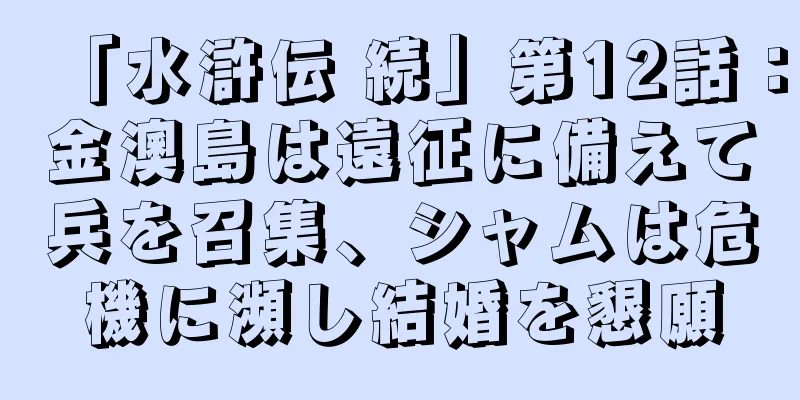 「水滸伝 続」第12話：金澳島は遠征に備えて兵を召集、シャムは危機に瀕し結婚を懇願