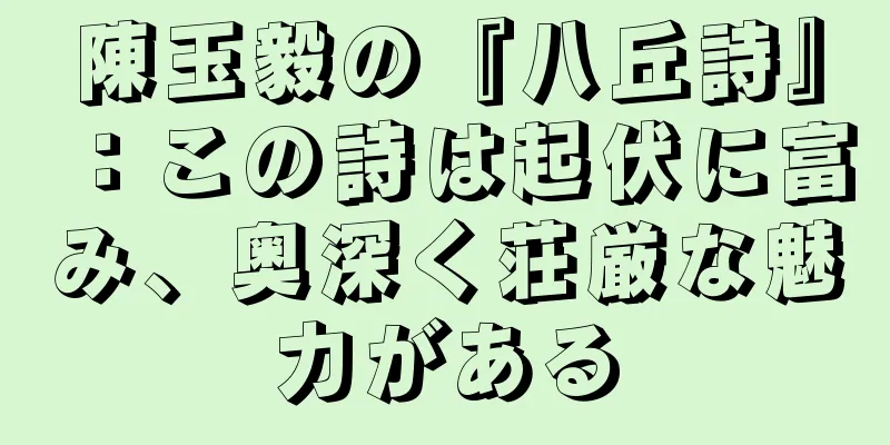 陳玉毅の『八丘詩』：この詩は起伏に富み、奥深く荘厳な魅力がある