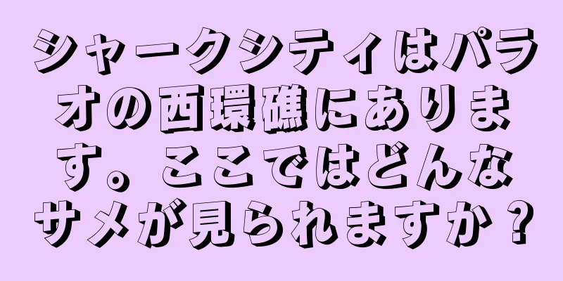 シャークシティはパラオの西環礁にあります。ここではどんなサメが見られますか？
