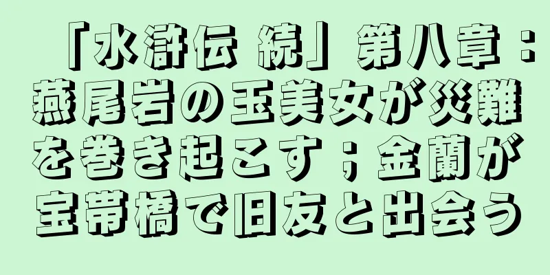 「水滸伝 続」第八章：燕尾岩の玉美女が災難を巻き起こす；金蘭が宝帯橋で旧友と出会う