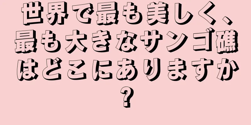 世界で最も美しく、最も大きなサンゴ礁はどこにありますか?