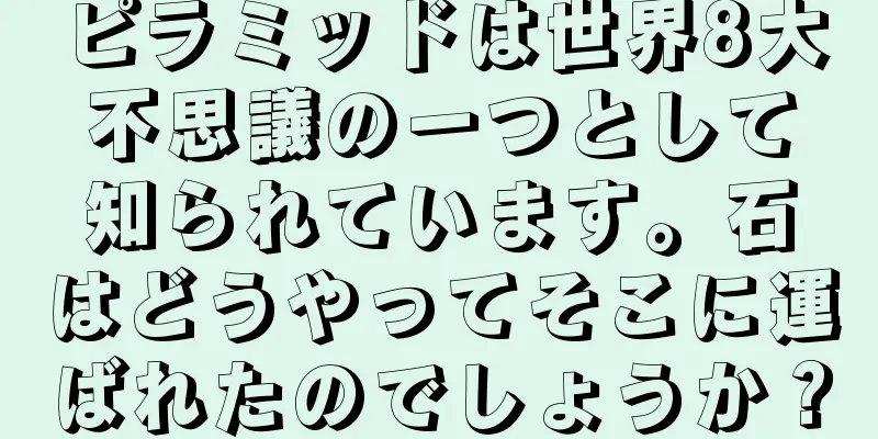 ピラミッドは世界8大不思議の一つとして知られています。石はどうやってそこに運ばれたのでしょうか？