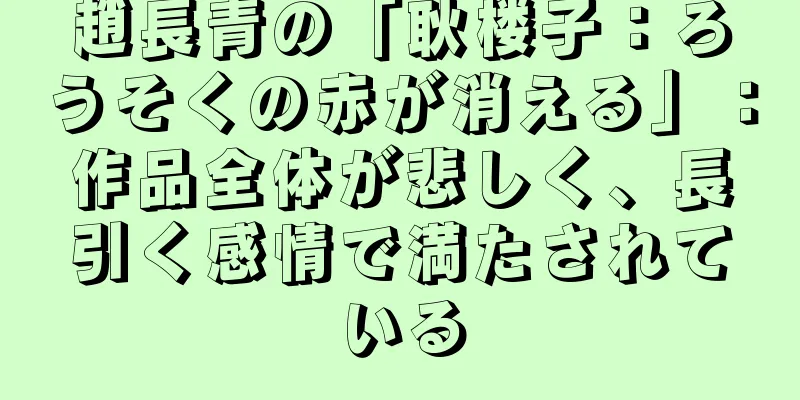 趙長青の「耿楼子：ろうそくの赤が消える」：作品全体が悲しく、長引く感情で満たされている
