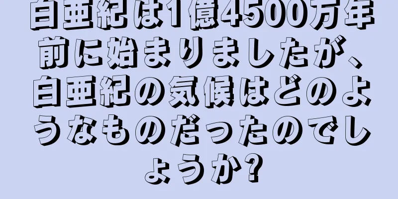 白亜紀は1億4500万年前に始まりましたが、白亜紀の気候はどのようなものだったのでしょうか?