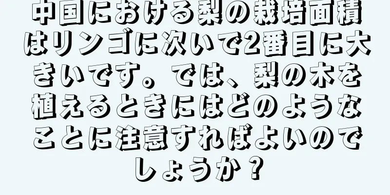 中国における梨の栽培面積はリンゴに次いで2番目に大きいです。では、梨の木を植えるときにはどのようなことに注意すればよいのでしょうか？