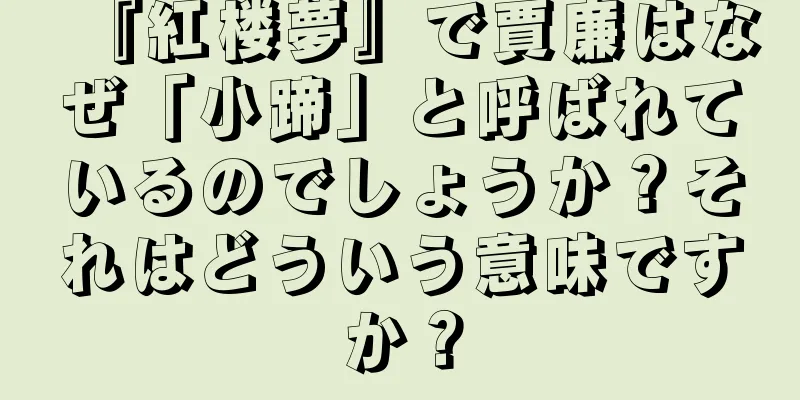 『紅楼夢』で賈廉はなぜ「小蹄」と呼ばれているのでしょうか？それはどういう意味ですか？