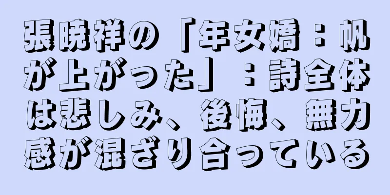 張暁祥の「年女嬌：帆が上がった」：詩全体は悲しみ、後悔、無力感が混ざり合っている