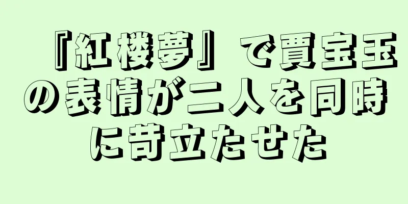 『紅楼夢』で賈宝玉の表情が二人を同時に苛立たせた