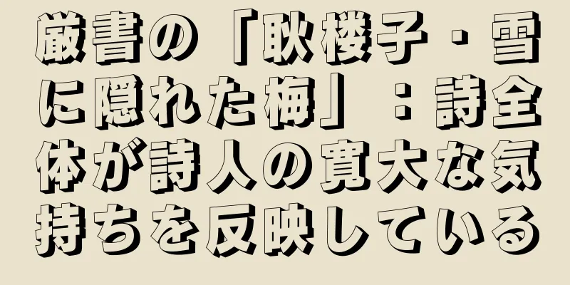 厳書の「耿楼子・雪に隠れた梅」：詩全体が詩人の寛大な気持ちを反映している