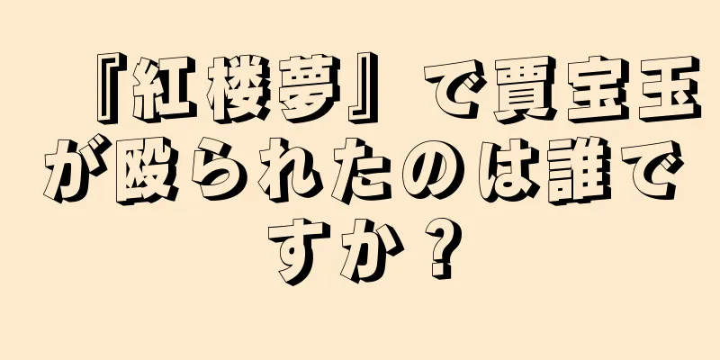 『紅楼夢』で賈宝玉が殴られたのは誰ですか？