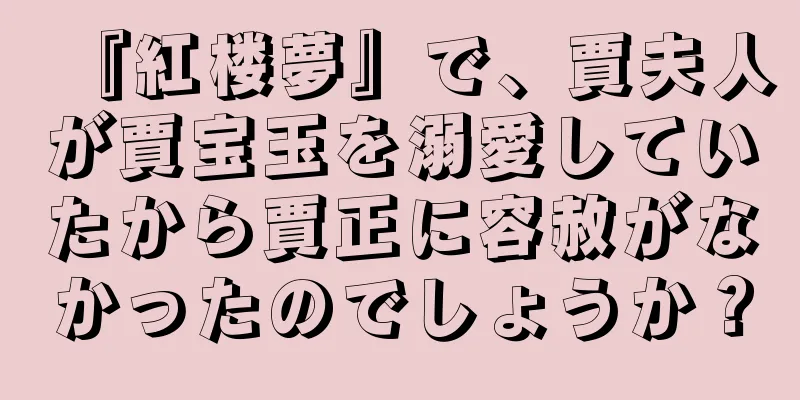 『紅楼夢』で、賈夫人が賈宝玉を溺愛していたから賈正に容赦がなかったのでしょうか？