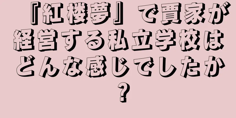『紅楼夢』で賈家が経営する私立学校はどんな感じでしたか？