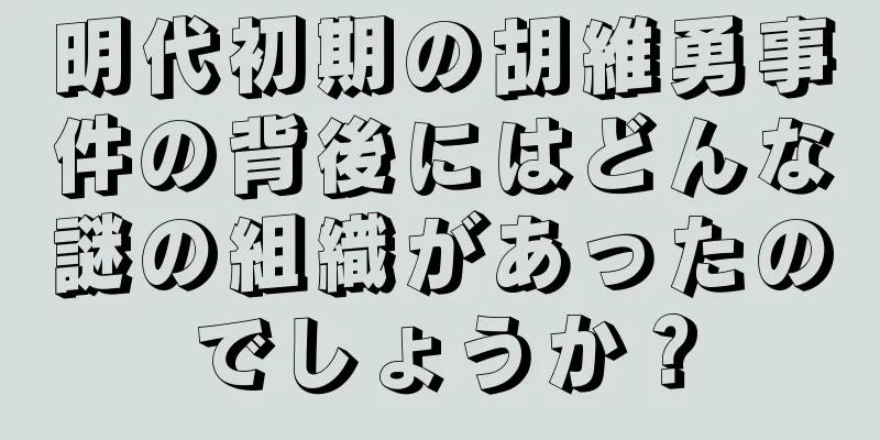明代初期の胡維勇事件の背後にはどんな謎の組織があったのでしょうか？