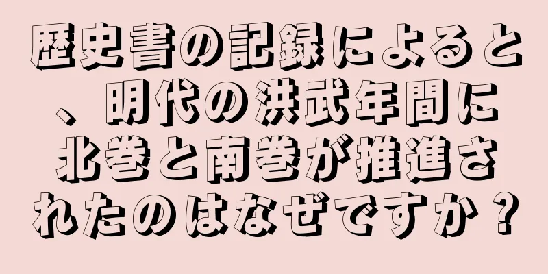 歴史書の記録によると、明代の洪武年間に北巻と南巻が推進されたのはなぜですか？