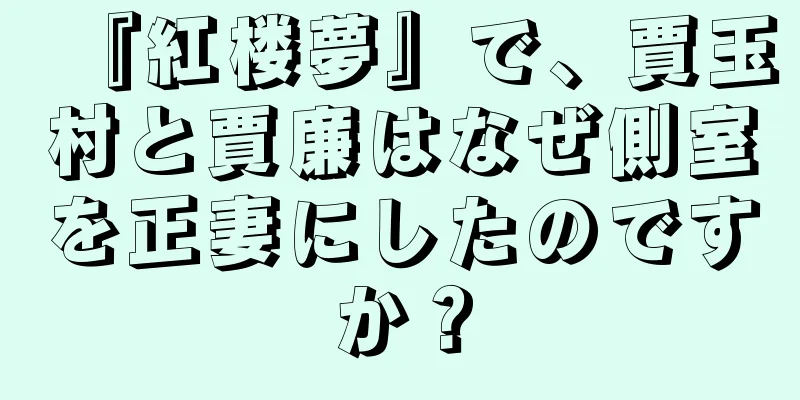 『紅楼夢』で、賈玉村と賈廉はなぜ側室を正妻にしたのですか？