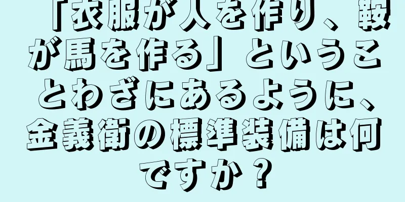 「衣服が人を作り、鞍が馬を作る」ということわざにあるように、金義衛の標準装備は何ですか？