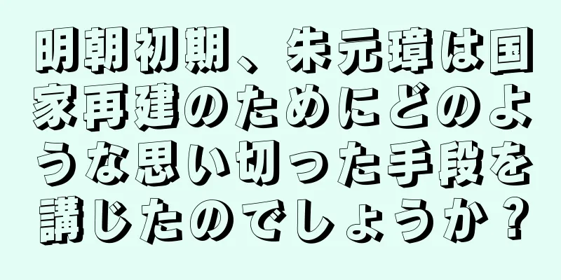 明朝初期、朱元璋は国家再建のためにどのような思い切った手段を講じたのでしょうか？