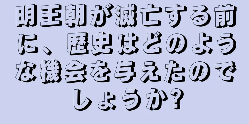 明王朝が滅亡する前に、歴史はどのような機会を与えたのでしょうか?