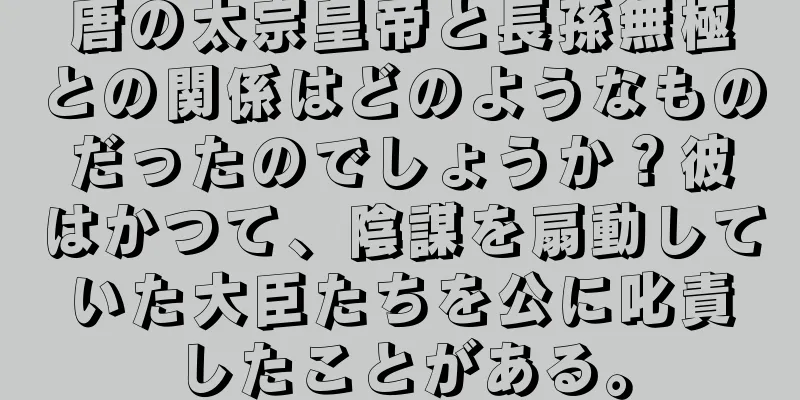 唐の太宗皇帝と長孫無極との関係はどのようなものだったのでしょうか？彼はかつて、陰謀を扇動していた大臣たちを公に叱責したことがある。
