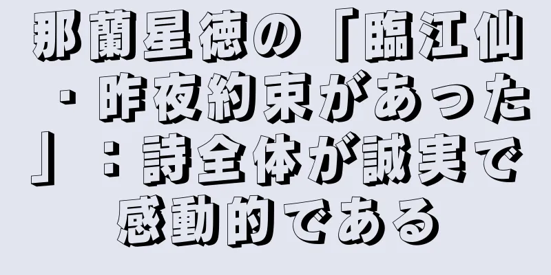 那蘭星徳の「臨江仙・昨夜約束があった」：詩全体が誠実で感動的である