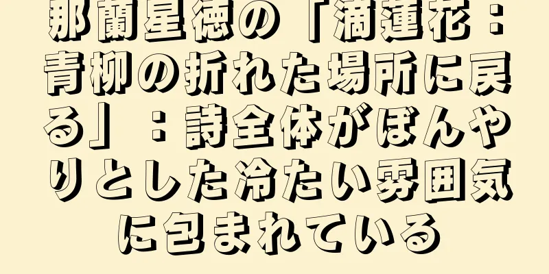 那蘭星徳の「滴蓮花：青柳の折れた場所に戻る」：詩全体がぼんやりとした冷たい雰囲気に包まれている
