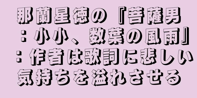 那蘭星徳の『菩薩男：小小、数葉の風雨』：作者は歌詞に悲しい気持ちを溢れさせる