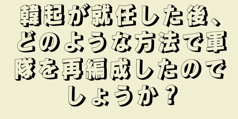 韓起が就任した後、どのような方法で軍隊を再編成したのでしょうか？