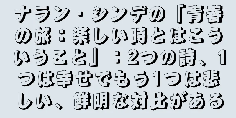 ナラン・シンデの「青春の旅：楽しい時とはこういうこと」：2つの詩、1つは幸せでもう1つは悲しい、鮮明な対比がある