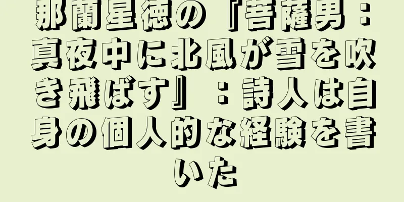 那蘭星徳の『菩薩男：真夜中に北風が雪を吹き飛ばす』：詩人は自身の個人的な経験を書いた