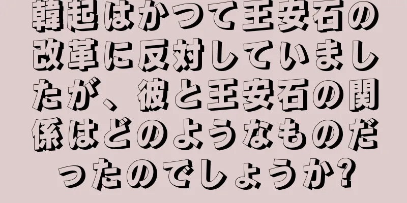 韓起はかつて王安石の改革に反対していましたが、彼と王安石の関係はどのようなものだったのでしょうか?