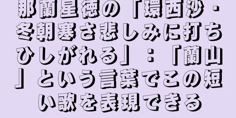 那蘭星徳の「環西沙・冬朝寒さ悲しみに打ちひしがれる」：「蘭山」という言葉でこの短い歌を表現できる