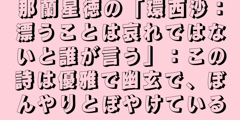那蘭星徳の「環西沙：漂うことは哀れではないと誰が言う」：この詩は優雅で幽玄で、ぼんやりとぼやけている