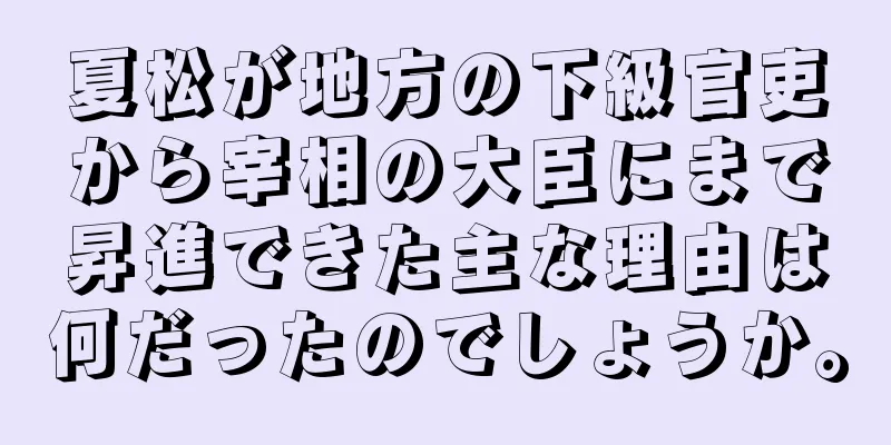 夏松が地方の下級官吏から宰相の大臣にまで昇進できた主な理由は何だったのでしょうか。