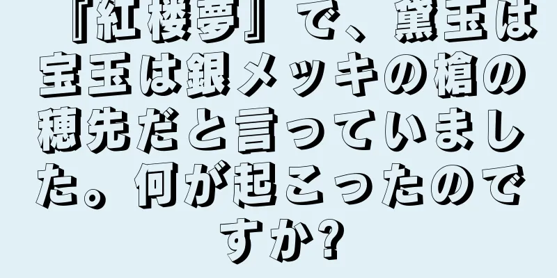 『紅楼夢』で、黛玉は宝玉は銀メッキの槍の穂先だと言っていました。何が起こったのですか?