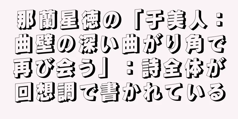 那蘭星徳の「于美人：曲壁の深い曲がり角で再び会う」：詩全体が回想調で書かれている