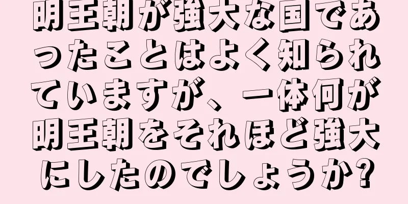 明王朝が強大な国であったことはよく知られていますが、一体何が明王朝をそれほど強大にしたのでしょうか?