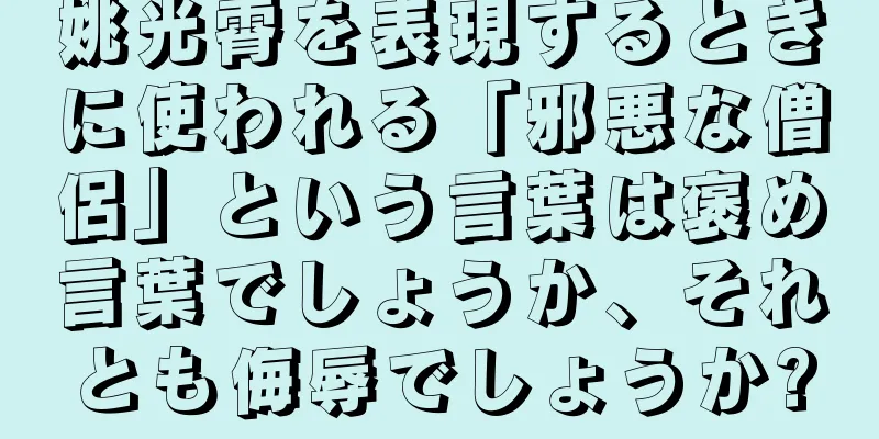 姚光霄を表現するときに使われる「邪悪な僧侶」という言葉は褒め言葉でしょうか、それとも侮辱でしょうか?