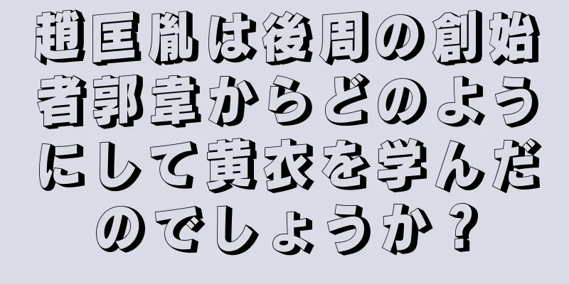 趙匡胤は後周の創始者郭韋からどのようにして黄衣を学んだのでしょうか？